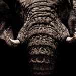 202540期开奖结果公布最新中奖号码查询 33uvm2