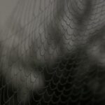 202543期福彩开奖结果最新公布 5pcmkx