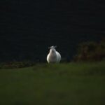 2025323期开奖号码结果查询与中奖详情公布 7mc25p69