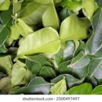 2025年3d开奖结果第191期最新号码公布 cyzcn