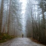 2025354期开奖结果最新公布与查询 e6eznbcvw