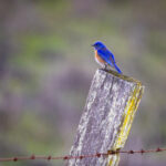 2025年3D开奖所有结果完整历史记录查询 q4ept