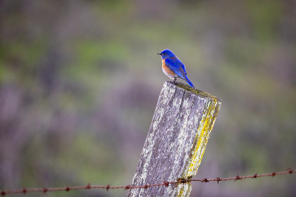 2025年3D开奖所有结果完整历史记录查询